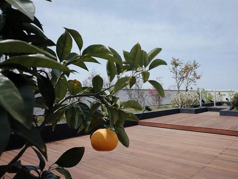 ג'גו Hi Residences מראה חיצוני תמונה